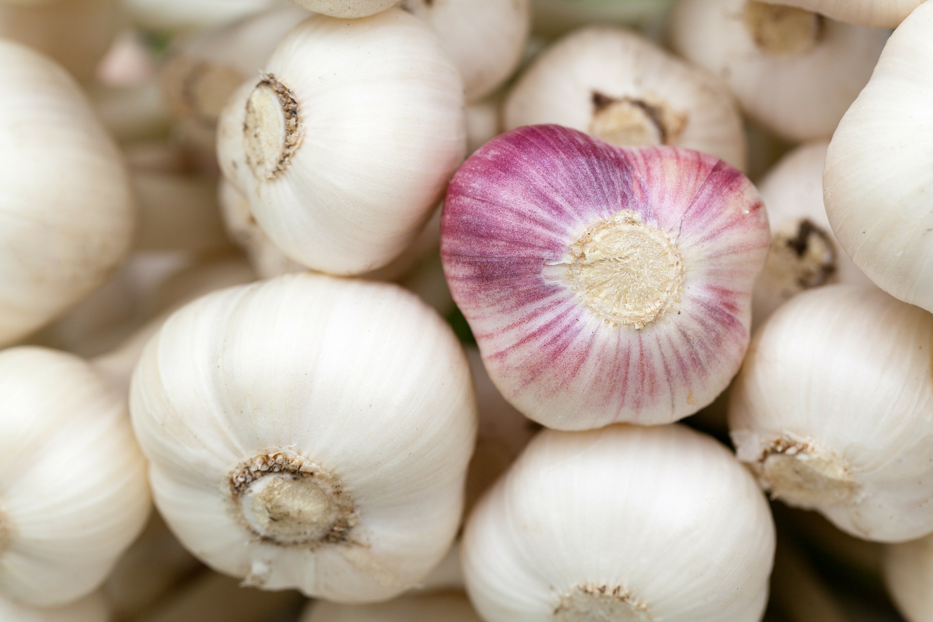 Garlic is a huge immunity booster and is good for treating common colds. 