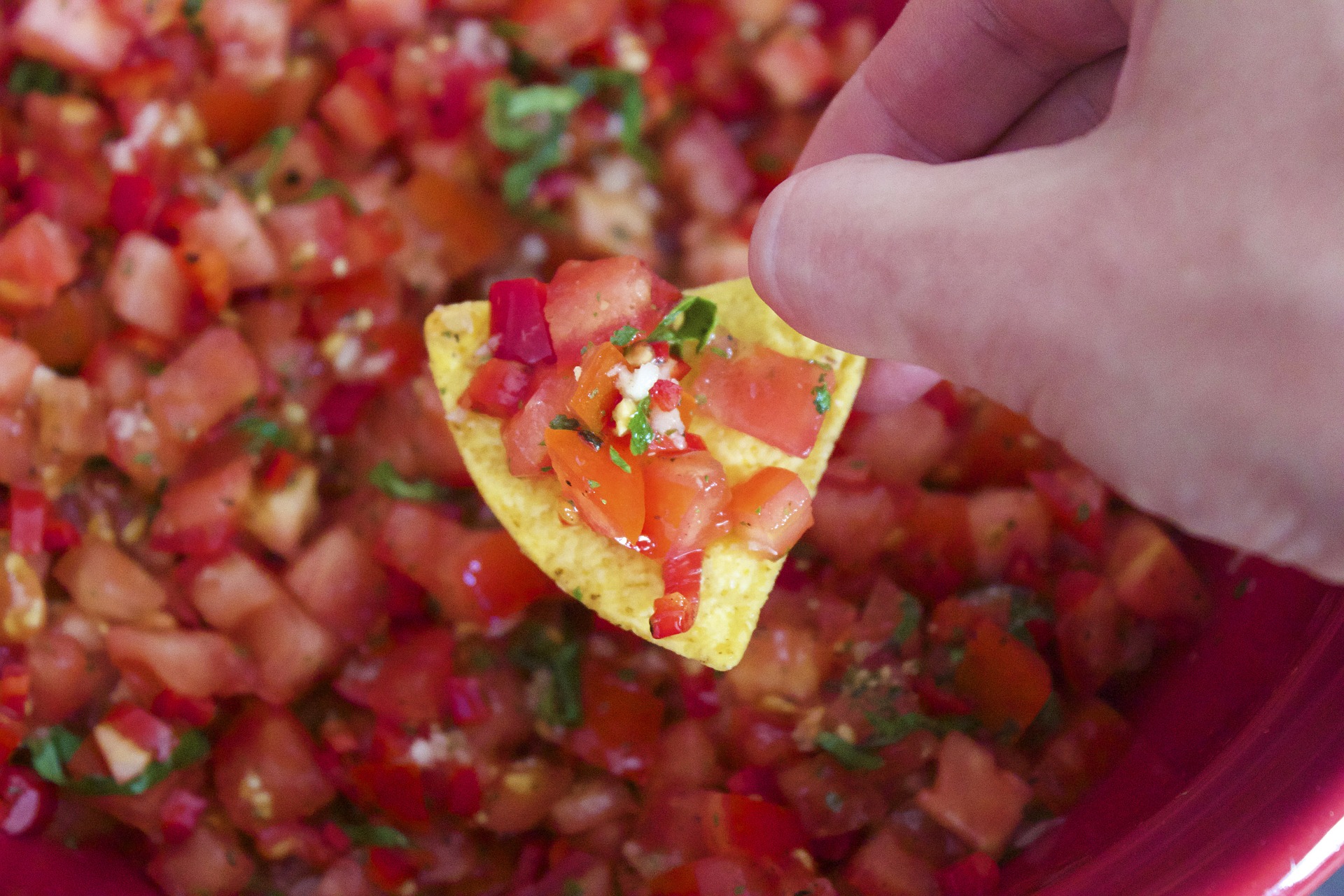 Vegetarian Nachos? Yes please! Try this tasty dish at Mother's Cafe and Garden.